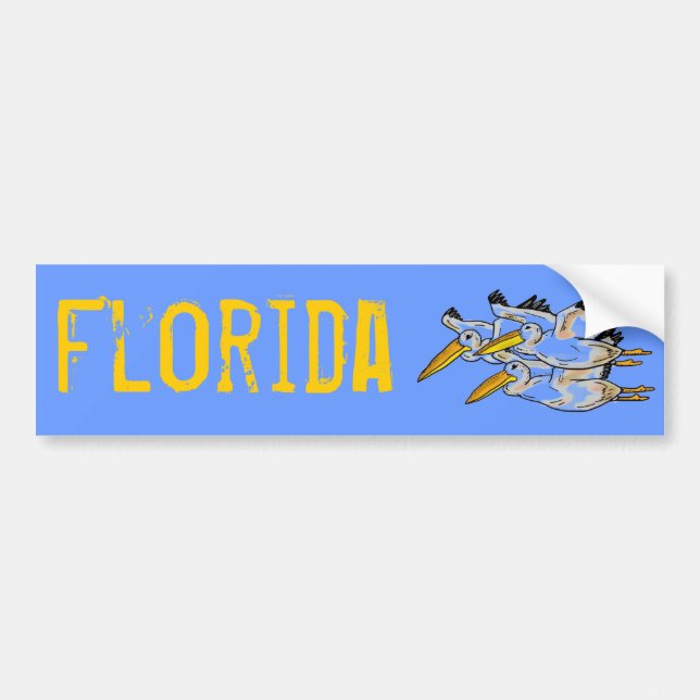 Adesivo Para Carro Bumpersticker do pelicano de Florida (Frente)