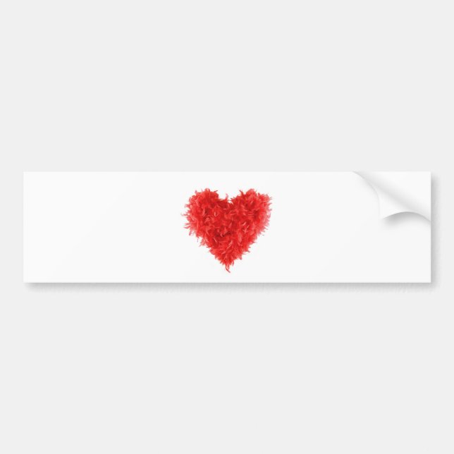 Adesivo Para Carro BumperStickers|RedHeartBoa (Frente)