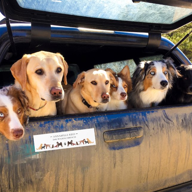 Adesivo Para Carro Business Dog Walker Pet Sitter Publicidade (Criador carregado)