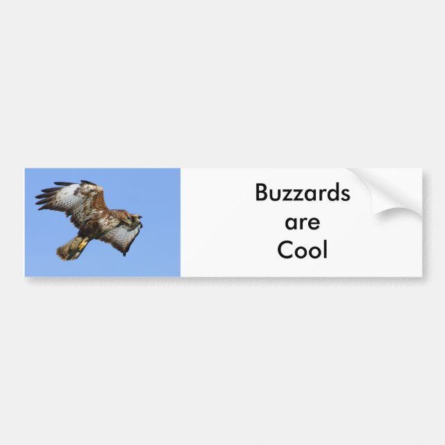 Adesivo Para Carro Buzzard 1 (Frente)