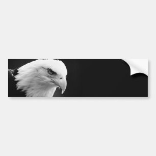Adesivo Para Carro BW Bald Eagle