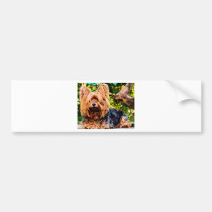 Adesivo Para Carro Cachorro Fofo Yorkie Paz Amor Destino Diversão Art