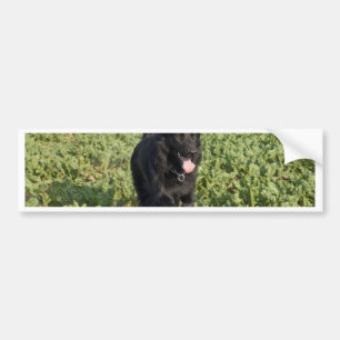 Adesivo Para Carro Cachorro Negro