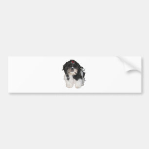 Adesivo Para Carro Cachorros Filhotes Shitzu Shih Tzu