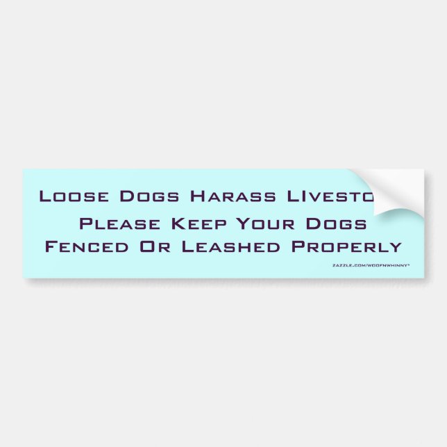 Adesivo Para Carro Cães Soltos Aproveitam Animais (Frente)