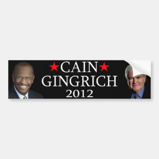 Adesivo Para Carro Cain/Gingrich