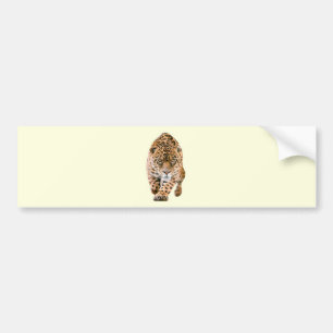 Adesivo Para Carro Caminhando Olhos de Jaguar