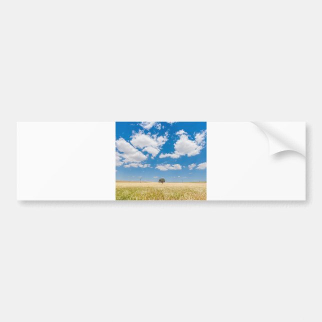 Adesivo Para Carro campo ensolarado (Frente)