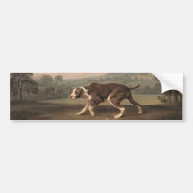Canino Espanhol (por George Stubbs)