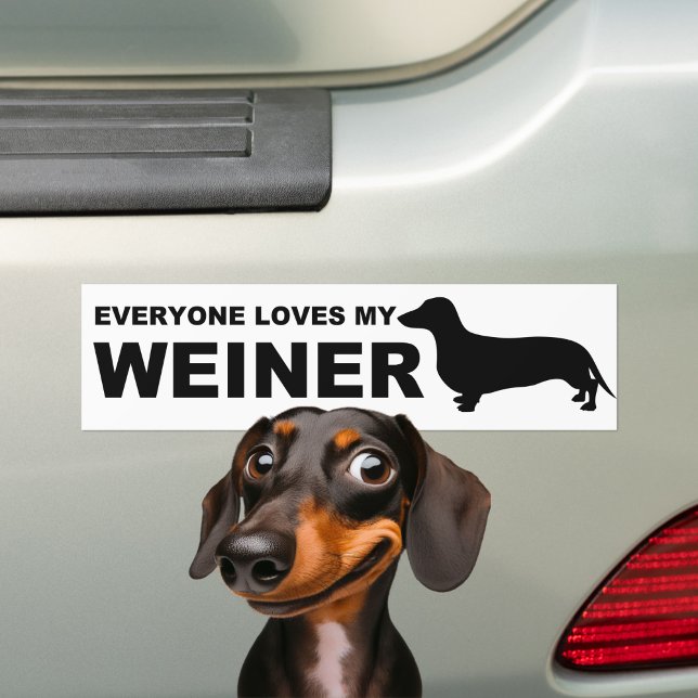 Adesivo Para Carro Cão "Dachshund" de Hillarie Weiner (Criador carregado)