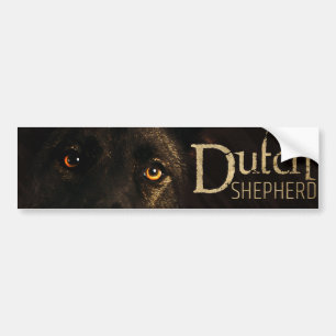 Adesivo Para Carro Cão de pastor holandês - Dutchie