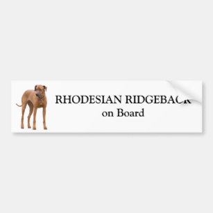 Adesivo Para Carro Cão de Rhodesian Ridgeback a bordo da etiqueta
