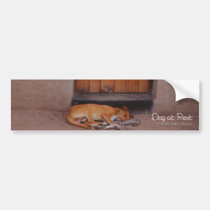 Adesivo Para Carro Cão em Repouso