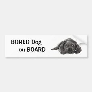 Adesivo Para Carro CÃO FURADO A BORDO: Arte do lápis