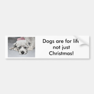 Adesivo Para Carro Cão pequeno triste do Natal