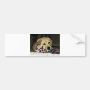 Adesivo Para Carro Cãozinho amarelo LR w brinquedo