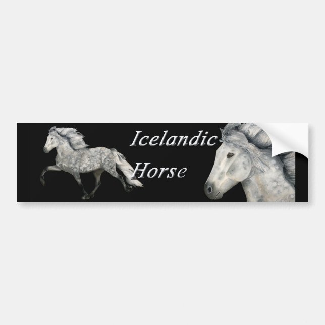 Adesivo Para Carro Carismático (Frente)