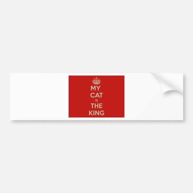 Adesivo Para Carro Cat Qoute (Frente)