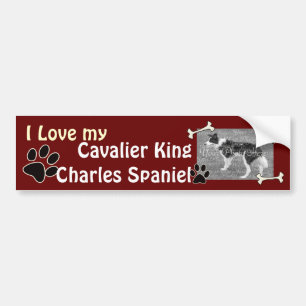 Adesivo Para Carro Cavaleiro Rei Charles Spaniel Bumper Sticker