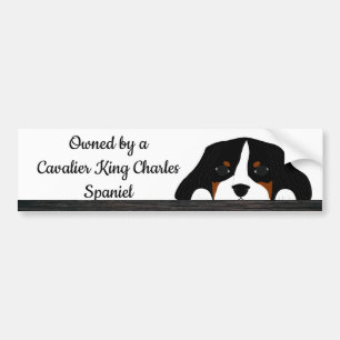 Adesivo Para Carro Cavalier Rei Charles Spaniel Cachorro
