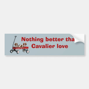 Adesivo Para Carro Cavaliers no autocolante no vidro traseiro do