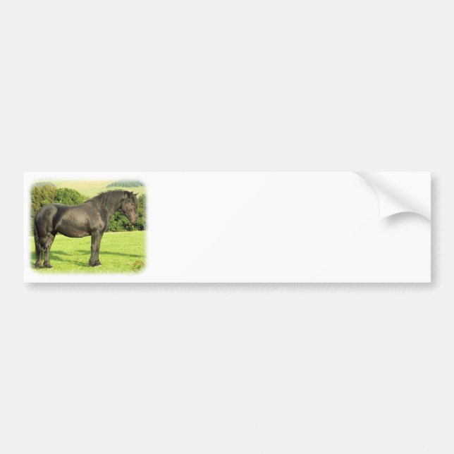 Adesivo Para Carro Cavalo 9A53D-20 (Frente)