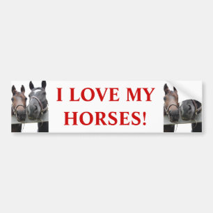 Adesivo Para Carro Cavalo-Amor