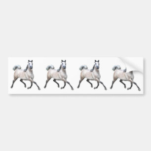 Adesivo Para Carro Cavalo árabe - Alia