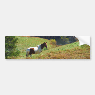 Adesivo Para Carro Cavalo branco e castanho, lagoa de outono