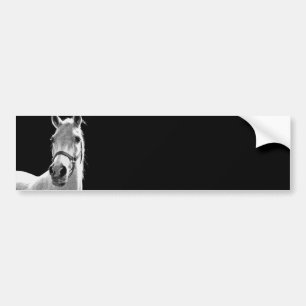 Adesivo Para Carro Cavalo BW
