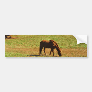 Adesivo Para Carro Cavalo Castanho Vermelho nas árvores do outono