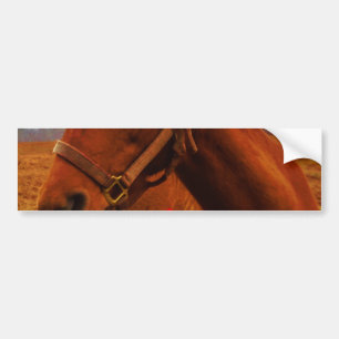 Adesivo Para Carro Cavalo com Arco Vermelho