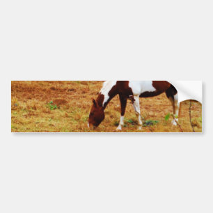 Adesivo Para Carro Cavalo de Natal
