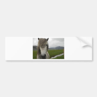 Adesivo Para Carro Cavalo islandês