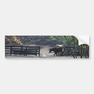Adesivo Para Carro Cavalo Marrom andando pela cerca
