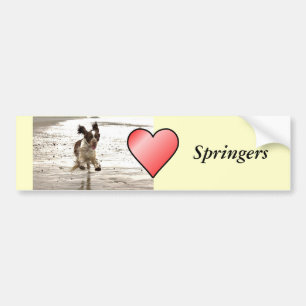 Adesivo Para Carro Charlie Springer