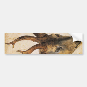 Adesivo Para Carro Chefe de Stag (Wild Animal) (por Albrecht Durer)