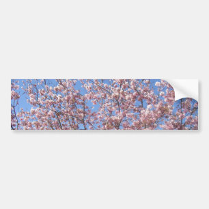 Adesivo Para Carro Cherry Blossoms
