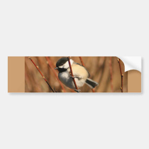 Adesivo Para Carro Chickadee tampado preto