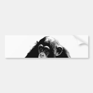 Adesivo Para Carro Chimpanzé Preto Branco