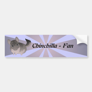 Adesivo Para Carro Chinchila