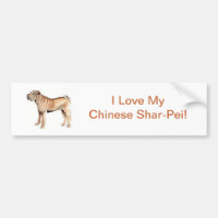 Chinês Shar-Pei