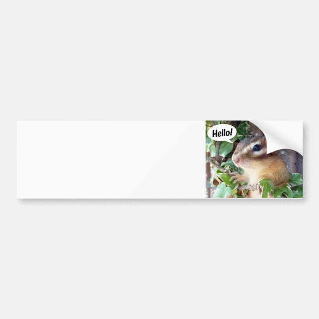 Adesivo Para Carro Chipmunk photo (20-4) (Frente)