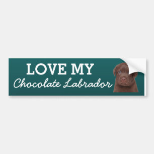 Adesivo Para Carro Chocolate Labrador