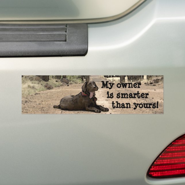 Adesivo Para Carro Chocolate Labrador Retriever Puppy Personalizado (No carro)