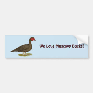 Adesivo Para Carro Chocolate Muscovy Drake
