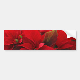 Adesivo Para Carro Christmas Poinsettia
