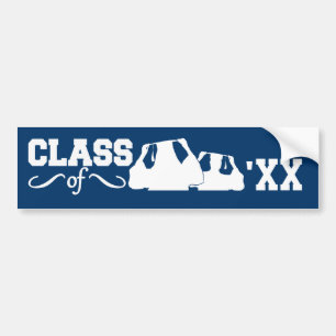 Adesivo Para Carro Classe de protetor personalizado do QUALQUER ano