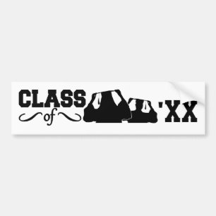Adesivo Para Carro Classe de protetor personalizado do QUALQUER ano