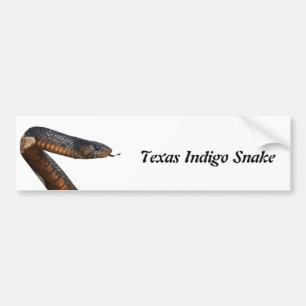 Adesivo Para Carro Cobra de índigo de Texas